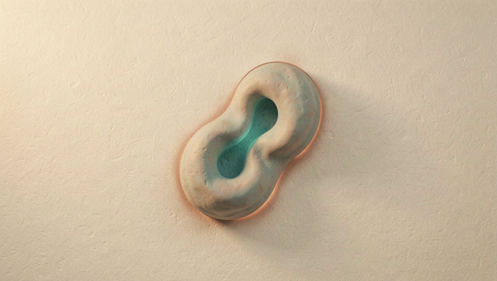 'A soft rounded organic form glowing teal from within - abstract cellular energy'
